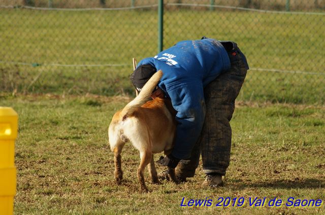 2019 ring val de saone fac1.jpg